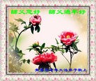 ֹ,ൺ󷨵ӹףʦã15
