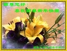 ֹ,Ϋ󷨵ӹףʦã19
