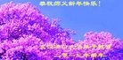 ֹ,人󷨵ӹףʦã17
