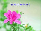 ֹ,ɽд󷨵ӹףʦã16
