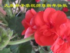 ֹ,󷨵ӹףʦã16
