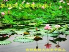 ֹ,󷨵ӹףʦã15
