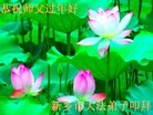 ֹ,ϴ󷨵ӹףʦ(26)
