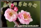 ֹ,󷨵ӹףʦã15
