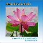 Published on 2/11/2013 ֹ,ҽҩ·ҵϵͳʦ꣨21
