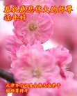ֹ,󷨵ӹףʦã17
