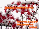 ֹ,󷨵ӹףʦã17
