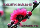ֹ,人󷨵ӹףʦã17
