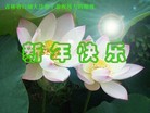 ֹ,ʡ󷨵ӹףʦã28
