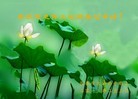 ֹ,󷨵ӹףʦã29

