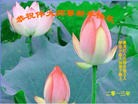 ֹ,󷨵ӹףʦ(25)

