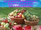 Published on 2/8/2013 ֹ,պ͵Ӽʺ־ʦ15
