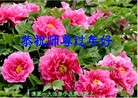 Published on 2/12/2013 ֹ,󷨵ӹףʦã21
