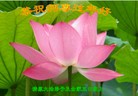 ֹ,󷨵ӹףʦã21
