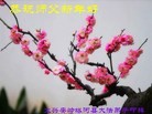ֹ,ɹŴ󷨵ӹףʦ(20)

