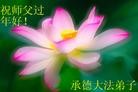 ֹ,ӱ󷨵ӹףʦ(30)
