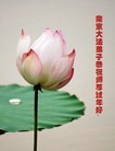 ֹ,մ󷨵ӹףʦã22
