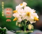 ֹ,󷨵ӹףʦã14
