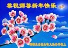 ֹ,ӱ󷨵ӹףʦã23
