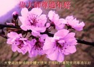 ֹ,󷨵ӹףʦã14
