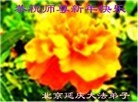 ֹ,󷨵ӹףʦ(25)
