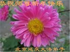 ֹ,󷨵ӹףʦ(25)
