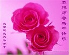 ֹ,󷨵ӹףʦã25
