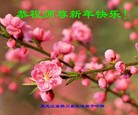 ֹ,ľ˹󷨵ӹףʦã17
