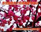 Published on 2/11/2013 ֹ,ҽҩ·ҵϵͳʦ꣨21
