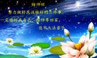 ֹ,ľ˹󷨵ӹףʦã19
