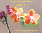 ֹ,Ĵ󷨵ӹףʦ(25)
