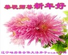 ֹ,󷨵ӹףʦ(23)
