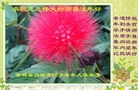 ֹ,ʡ󷨵ӹףʦã18
