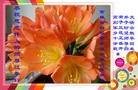 ֹ,ʡ󷨵ӹףʦã18
