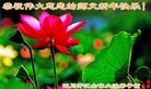 ֹ,Ĵ󷨵ӹףʦã22
