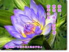 ֹ,Ͼ󷨵ӹףʦ֣17
