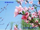 Published on 2/9/2016 ���ֹ�,��½�󷨵��ӹ�ףʦ�������(28��)
