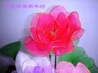 ֹ,人󷨵ӹףʦ(11)
