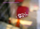 ֹ,人󷨵ӹףʦ(11)
