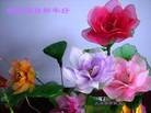 ֹ,人󷨵ӹףʦ(11)

