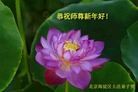 ֹ,󷨵ӹףʦ(25)
