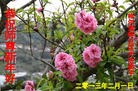 ֹ,󷨵ӹףʦã28
