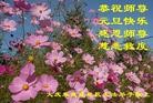 ֹ,󷨵ӹףʦԪ(19)
