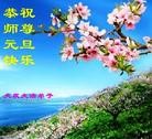 ֹ,󷨵ӹףʦԪ(19)

