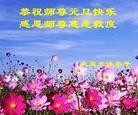 ֹ,󷨵ӹףʦԪ(19)
