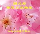 ֹ,󷨵ӹףʦԪ(19)
