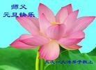 ֹ,󷨵ӹףʦԪ(19)
