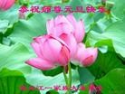 ֹ,󷨵ӹףʦԪ(21)
