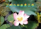 ֹ,󷨵ӹףʦԪ(19)
