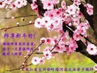 ֹ,󷨵ӹףʦԪ(21)
